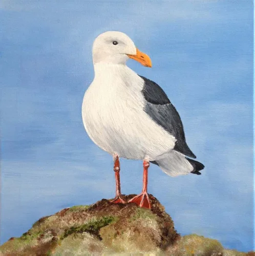 Die Möwe