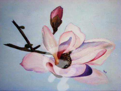 Magnolienblütenzweig