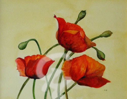 Mohnblumen 2