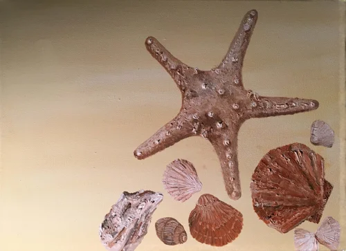 Muschelzauber