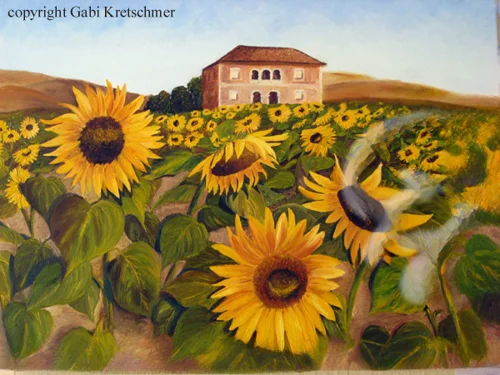 Sonnenblumenfeld