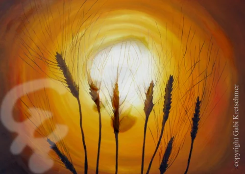 Sonnenwende