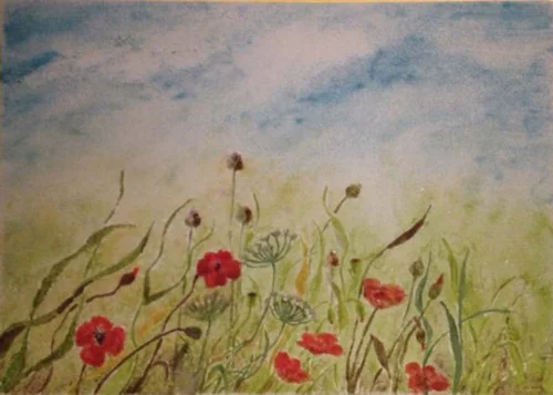 Sommerwiese